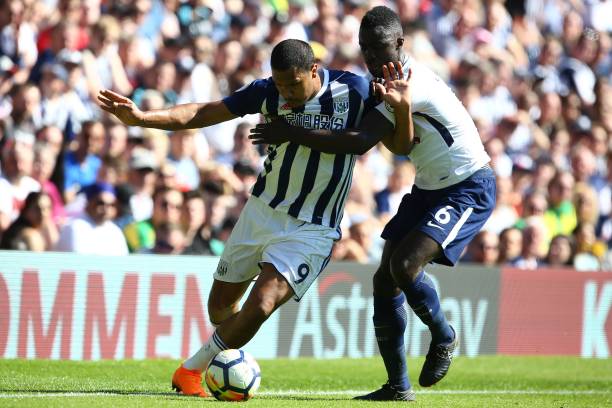 取得了显著 取得了显著