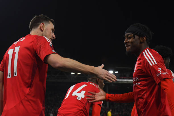 哲科稳定 哲科稳定